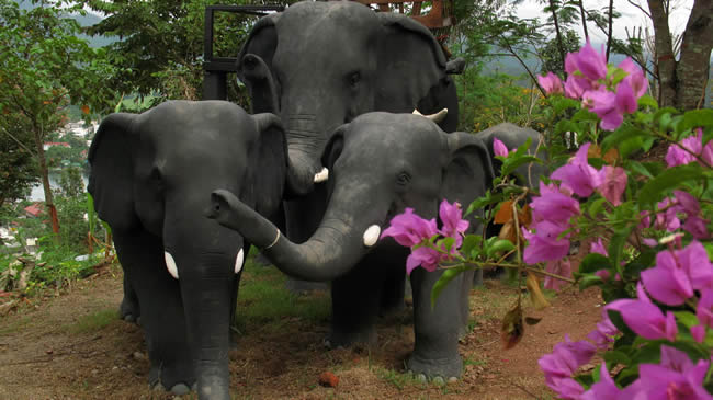 MAE HONG SON_МАЕХОНГСОН_MAEHONGSON_МАЕ ХОНГ СОН