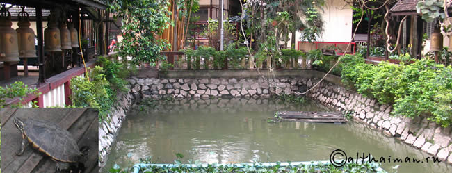 CHIANGRAI_CHIANG RAI CITY_ ЧИАНГ РАЙ_ЧАНГ РАЙ_ЧИАНГРАЙ 