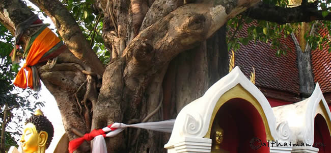 CHIANGRAI_CHIANG RAI CITY_ ЧИАНГ РАЙ_ЧАНГ РАЙ_ЧИАНГРАЙ 