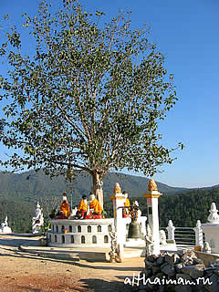 ��������_����� ��� ���� ���_CHIANGMAI_CHIANG MAI