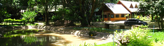 THAM DOI THON MONASTERY  CHIANG MAI THAILAND_КОРОЛЕВСКИЙ ДВОРЕЦ ПУ ПИНГ ЧИАНГ МАЙ ЧАНГ МЕЙ ТАИЛАНД