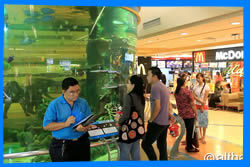 Торговый Центр Central Airport Plaza Chiang Mai - Торговые центры Чианг Мая