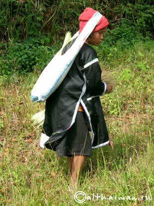 FANG_CHIANG MAI_ ФАНГ ГОРЯЧИЕ ИСТОЧНИКИ_ЧИАНГ МАЙ_СЕВЕРНЫЙ ТАИЛАНД