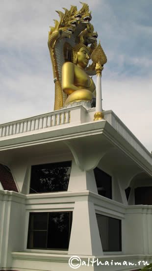 THA TON_CHIANG MAI_��� ���_����� ���_�������� �������