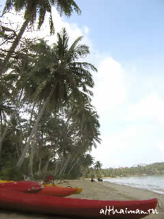 ������ ��� ����_�� ���_KOH MAAK ISLAND THAILAND