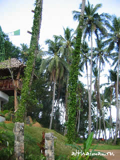������ ��� ����_�� ���_KOH MAAK ISLAND THAILAND