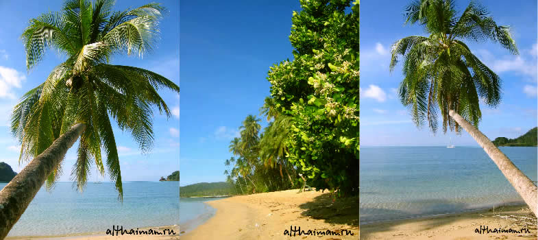 ������ ��� ����_�� ���_KOH MAAK ISLAND THAILAND