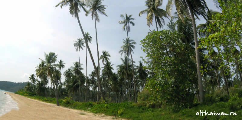 ������ ��� ����_�� ���_KOH MAAK ISLAND THAILAND