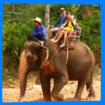 Koh Chang Elephant Trekking