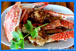 Bang Bao Bay Restaurants, Where and What to Eat in Bang Bao Bay, บางเบา เกาะช้างใต้