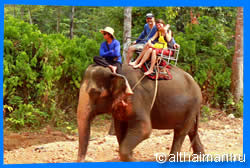 Elephant Trekking in Koh Chang