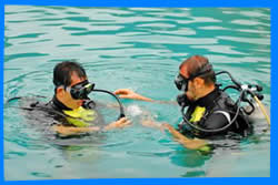 Koh Chang Diving and Snorkeling 