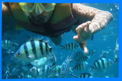 Koh Chang Water Activities - Islands Hopping, Kayaking, Diving, Snorkeling, Fishing