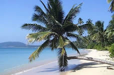 �� ����_�� ���_KOH MAAK ISLAND THAILAND_������ �� ��� ��� ����