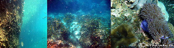 KOH TAO KOHTAO KOTAO KO TAO ISLAND_ОСТРОВ КОХ ТАО КО ТАО ТАУ КОТАУ КОТАО КОХТАО ТАИЛАНД