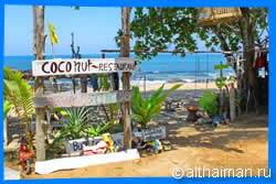 Coconut Bar and Restaurant 