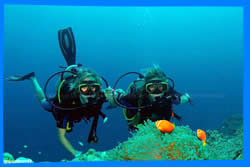 Краби, Таиланд, Тайланд, Krabi, Thailand, лучший отель в Краби, отели Краби, отдых в Краби, фото Краби, туры в Краби, дешевые авиабилеты в Краби,  острова Краби, ресторан, краби фото-отчёт, еда, ночной клуб, пляж, номер в отеле Краби, медовый месяц, на Краби