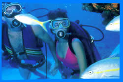 Koh Lanta Diving and Snorkeling 