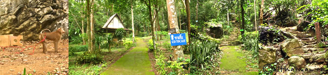 NAN THAILAND HOTELS RESORTS TRAVEL GUIDE_���������  ��� ���  �����  ������������  ������������ ������� 