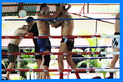 Тренировочный Лагерь Tiger Muay Thai в Пхукете