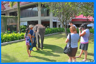 ПЛЯЖ БАНГ ТАО  ПХУКЕТ ОТЕЛИ ПХУКЕТА BANG TAO  BEACH  PHUKET 