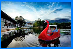 Boat Plaza Пхукет, Еда & Отдых на Берегу Озера