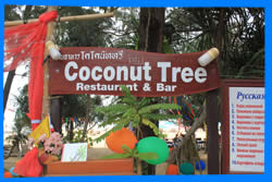 Ресторан-бар Coconut Tree
