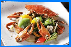 Ao Chaloklum Beach Restaurants, What and Where to Eat in Ao Chaloklum Beach