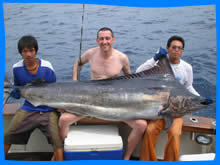 Phi Phi Fishing game