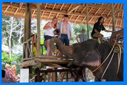 Лагерь Слонов Kok Chang – Ката Ной