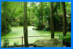 Сад Бабочек Пхукет (Phuket Butterfly Garden)