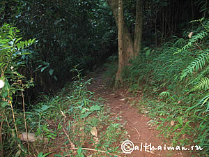 FANG HOT SPRINGS CHIANG MAI_DOI PHA HOM POK NATIONAL PARK_ЧИАНГ МАЙ ЧАНГ МЭЙ СЕВЕРНЫЙ ТАИЛАНД