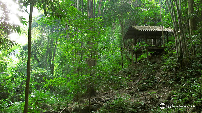FANG HOT SPRINGS CHIANG MAI_DOI PHA HOM POK NATIONAL PARK_ЧИАНГ МАЙ ЧАНГ МЭЙ СЕВЕРНЫЙ ТАИЛАНД
