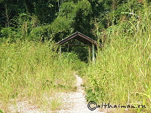 FANG HOT SPRINGS CHIANG MAI_DOI PHA HOM POK NATIONAL PARK_ЧИАНГ МАЙ ЧАНГ МЭЙ СЕВЕРНЫЙ ТАИЛАНД