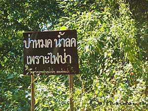 FANG HOT SPRINGS CHIANG MAI_DOI PHA HOM POK NATIONAL PARK_ЧИАНГ МАЙ ЧАНГ МЭЙ СЕВЕРНЫЙ ТАИЛАНД