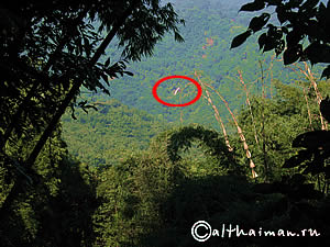 FANG HOT SPRINGS CHIANG MAI_DOI PHA HOM POK NATIONAL PARK_ЧИАНГ МАЙ ЧАНГ МЭЙ СЕВЕРНЫЙ ТАИЛАНД
