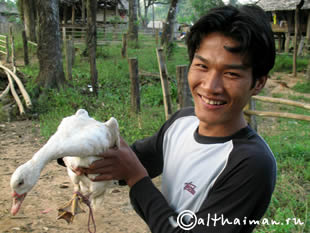 THILOSU_TILORSU_TILOSU_UMPANG_THAILAND_УМПАНГ_ВОДОПАД ТИЛОСУ_ТАИЛАНД