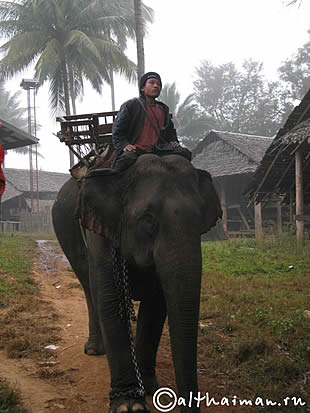 THILOSU_TILORSU_TILOSU_UMPANG_THAILAND_УМПАНГ_ВОДОПАД ТИЛОСУ_ТАИЛАНД