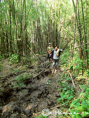 THILOSU_TILORSU_TILOSU_UMPANG_THAILAND_УМПАНГ_ВОДОПАД ТИЛОСУ_ТАИЛАНД