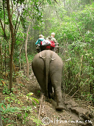 THILOSU_TILORSU_TILOSU_UMPANG_THAILAND_УМПАНГ_ВОДОПАД ТИЛОСУ_ТАИЛАНД