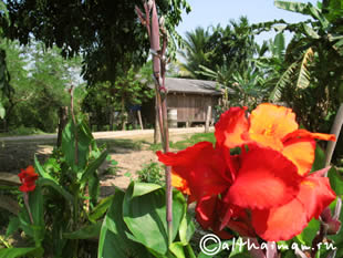 THILOSU_TILORSU_TILOSU_UMPANG_THAILAND_УМПАНГ_ВОДОПАД ТИЛОСУ_ТАИЛАНД