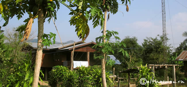 THILOSU_TILORSU_TILOSU_UMPANG_THAILAND_УМПАНГ_ВОДОПАД ТИЛОСУ_ТАИЛАНД