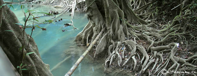 THILOSU_TILORSU_TILOSU_UMPANG_THAILAND_УМПАНГ_ВОДОПАД ТИЛОСУ_ТАИЛАНД