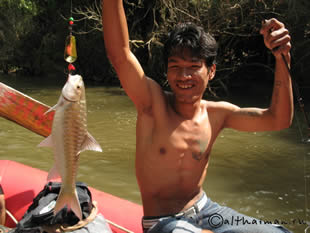 THILOSU_TILORSU_TILOSU_UMPANG_THAILAND_УМПАНГ_ВОДОПАД ТИЛОСУ_ТАИЛАНД