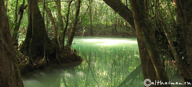 THILOSU_TILORSU_TILOSU_UMPANG_THAILAND_УМПАНГ_ВОДОПАД ТИЛОСУ_ТАИЛАНД