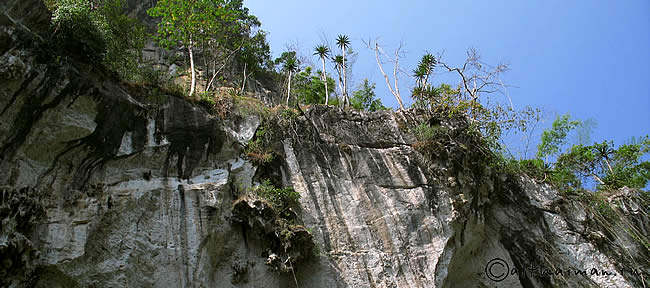 THILOSU_TILORSU_TILOSU_UMPANG_THAILAND_УМПАНГ_ВОДОПАД ТИЛОСУ_ТАИЛАНД