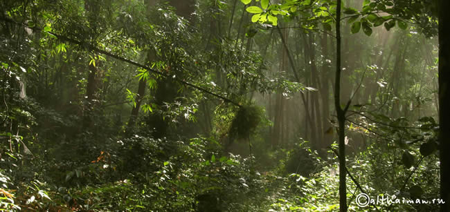 THILOSU_TILORSU_TILOSU_UMPANG_THAILAND_УМПАНГ_ВОДОПАД ТИЛОСУ_ТАИЛАНД