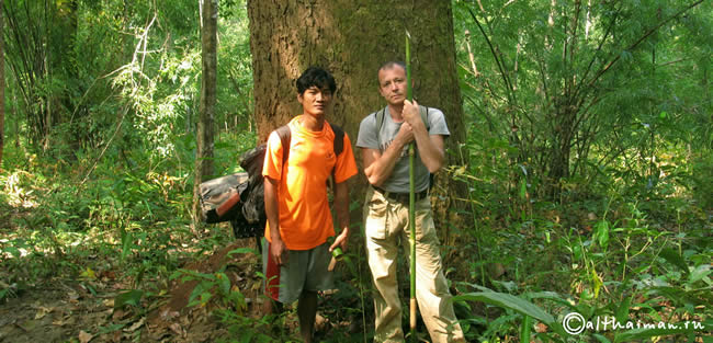 THILOSU_TILORSU_TILOSU_UMPANG_THAILAND_УМПАНГ_ВОДОПАД ТИЛОСУ_ТАИЛАНД
