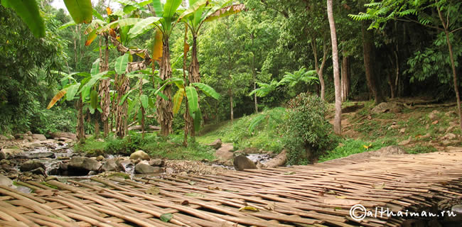 KHUN KON WATERFALL LAM NAM KOK NATIONAL PARK THAILAND CHIANG RAI ЧИАНГ РАЙ ЧАНГ РАЙ СЕВЕРНЫЙ ТАИЛАНД НАЦИОНАЛЬНЫЙ ПАРК ЛАМ НАМ КОК