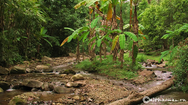 KHUN KON WATERFALL LAM NAM KOK NATIONAL PARK THAILAND CHIANG RAI ЧИАНГ РАЙ ЧАНГ РАЙ СЕВЕРНЫЙ ТАИЛАНД НАЦИОНАЛЬНЫЙ ПАРК ЛАМ НАМ КОК
